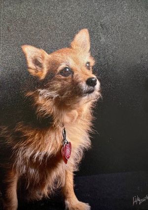 Foxy